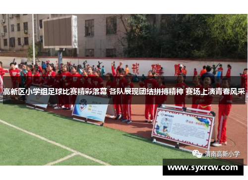 高新区小学组足球比赛精彩落幕 各队展现团结拼搏精神 赛场上演青春风采